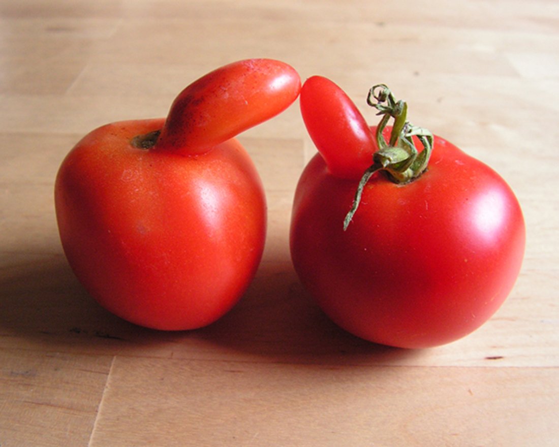 Tomaten