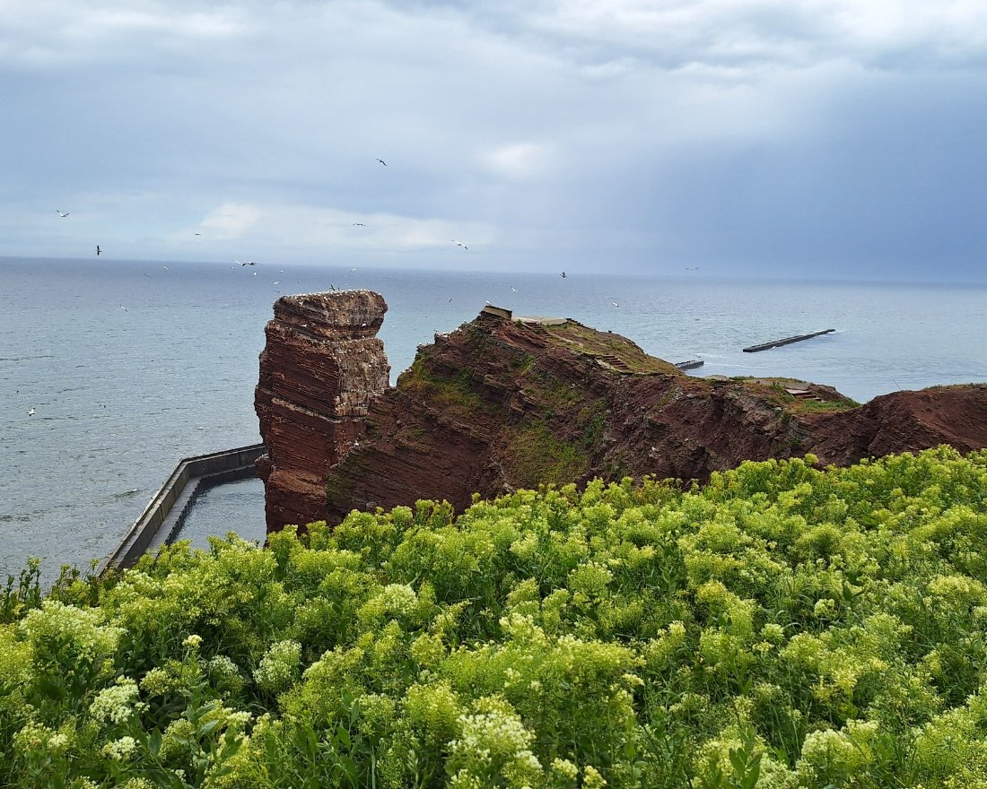 Helgoland 2026